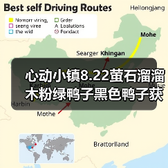 心动小镇8.22萤石溜溜木粉绿鸭子黑色鸭子获取位置全解析(图4) 心动小镇8.22萤石溜溜木粉绿鸭子黑色鸭子获取位置全解析(图4)