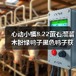 心动小镇8.22萤石溜溜木粉绿鸭子黑色鸭子获取位置全解析(图2) 心动小镇8.22萤石溜溜木粉绿鸭子黑色鸭子获取位置全解析(图2)