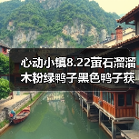 心动小镇8.22萤石溜溜木粉绿鸭子黑色鸭子获取位置全解析(图3) 心动小镇8.22萤石溜溜木粉绿鸭子黑色鸭子获取位置全解析(图3)