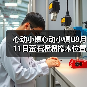 心动小镇心动小镇⭐8月11日萤石溜溜橡木位置攻略(图4) 心动小镇心动小镇⭐8月11日萤石溜溜橡木位置攻略(图4)