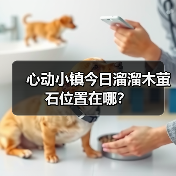 心动小镇今日溜溜木萤石位置在哪?(图1) 心动小镇今日溜溜木萤石位置在哪?(图1)