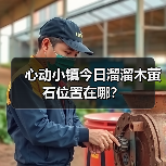 心动小镇今日溜溜木萤石位置在哪?(图4) 心动小镇今日溜溜木萤石位置在哪?(图4)