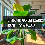 心动小镇今天是稚趣园最后一个彩虹天!(图3) 心动小镇今天是稚趣园最后一个彩虹天!(图3)