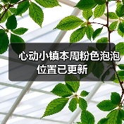 心动小镇本周粉色泡泡位置已更新(图4) 心动小镇本周粉色泡泡位置已更新(图4)