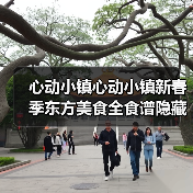 心动小镇心动小镇新春季东方美食全食谱隐藏食谱（图3）