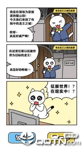 白猫与龙王城